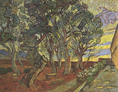 Vincent Van Gogh The Garden of Saint-Paul Hospital (nn04) china oil painting image